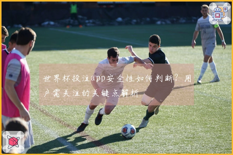 世界杯投注app安全性如何判断?用户需关注的关键点解析
